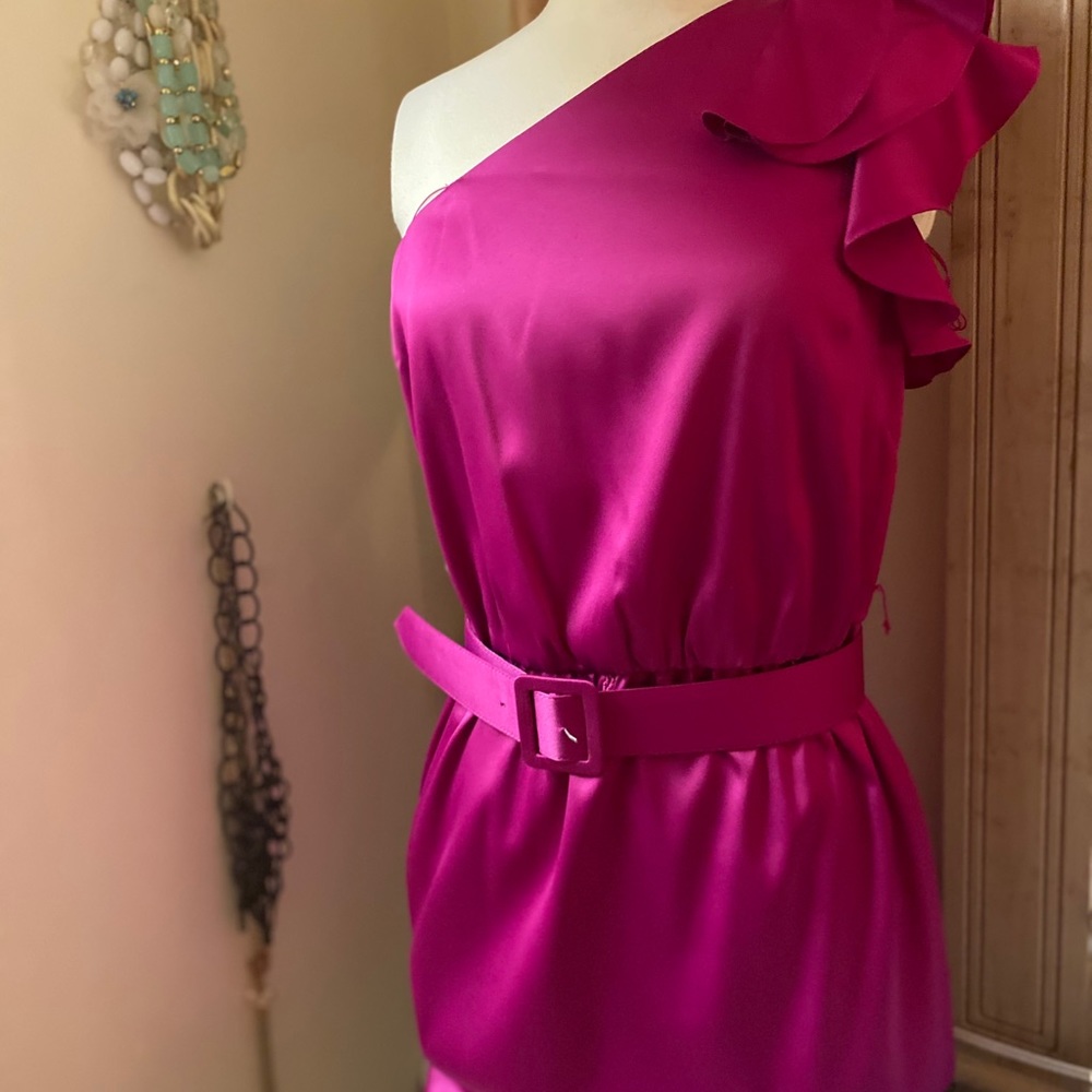 Size 6 Belted Cache Dress